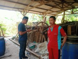 Sapi Bantuan Program UPPO Poktan Bina Usaha Mandiri Nganjuk Hilang, Tersisa Kandang