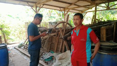 Sapi Bantuan Program UPPO Poktan Bina Usaha Mandiri Nganjuk Hilang, Tersisa Kandang