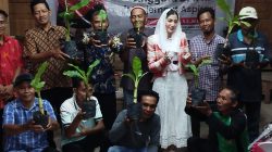 Reses di Bringinan, Novita Hardini Dorong Pengembangan Budidaya Pisang Cavendish