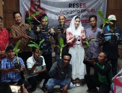 Reses di Bringinan, Novita Hardini Dorong Pengembangan Budidaya Pisang Cavendish