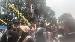 Belum Tiba di Garis Finish, Cikar Bermuatan Hasil Bumi Jadi Rebutan Warga