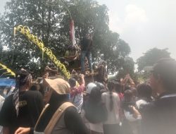 Belum Tiba di Garis Finish, Cikar Bermuatan Hasil Bumi Jadi Rebutan Warga