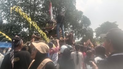 Belum Tiba di Garis Finish, Cikar Bermuatan Hasil Bumi Jadi Rebutan Warga