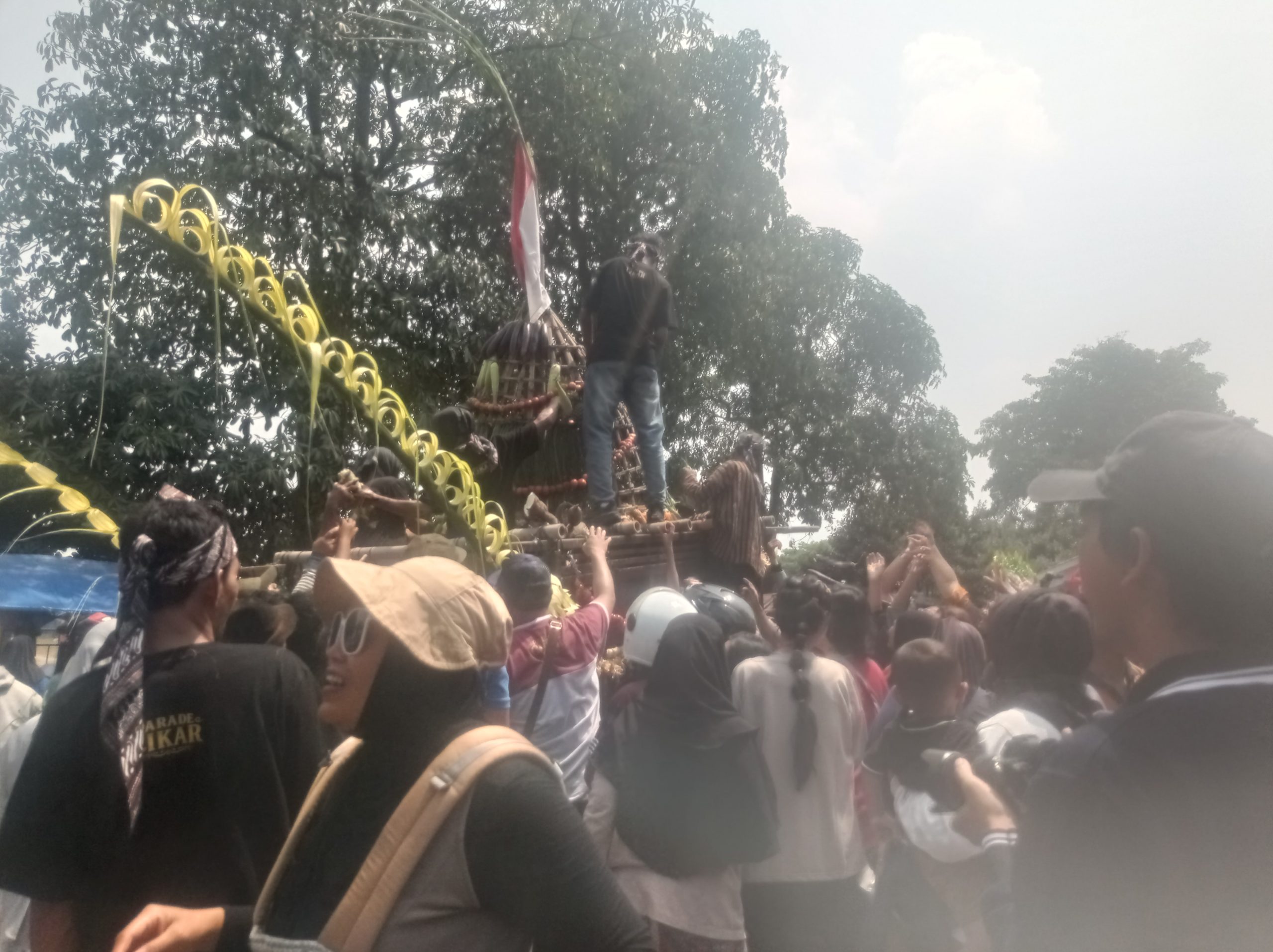 Belum Tiba di Garis Finish, Cikar Bermuatan Hasil Bumi Jadi Rebutan Warga