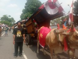 Cikar Berusia 75 Tahun Ikut Meriahkan Parade Cikar V Kabupaten Kediri