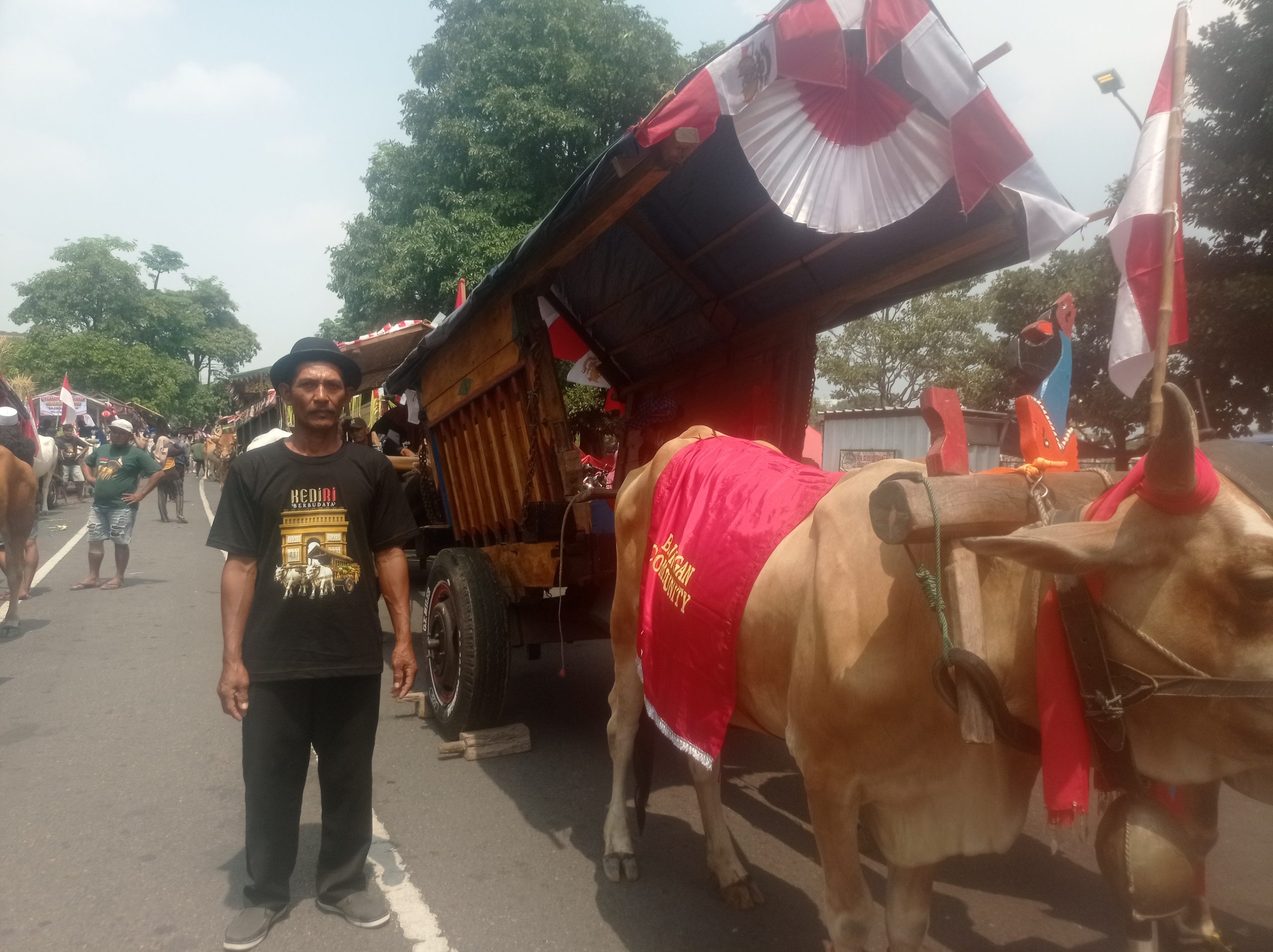 Cikar Berusia 75 Tahun Ikut Meriahkan Parade Cikar V Kabupaten Kediri