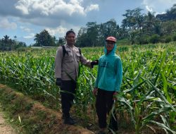 Polres Blitar Perkuat Ketahanan Pangan Lewat Sambang Petani