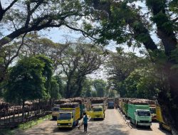 Hari Giling ke-87, PG Ngadiredjo Sukses Giling 5 Juta Kuintal Tebu