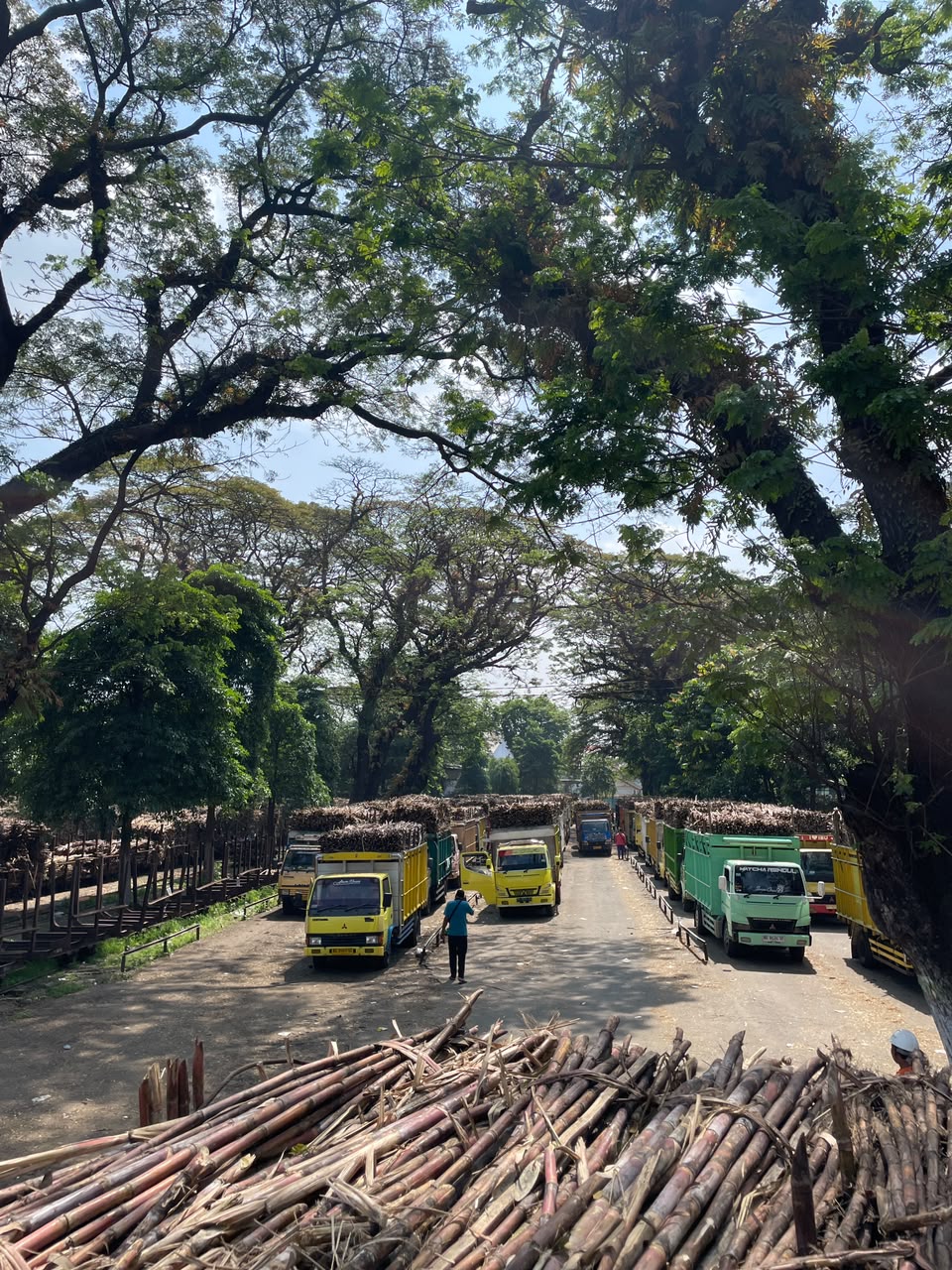 Hari Giling ke-87, PG Ngadiredjo Sukses Giling 5 Juta Kuintal Tebu