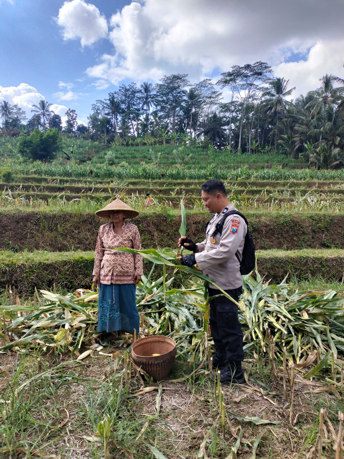 Bhabinkamtibmas Polsek Kesamben Dampingi Petani, Dukung Program Ketahanan Pangan
