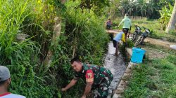 Dukung Ketahanan Pangan, TNI Bersama Petani Bersihkan Saluran Irigasi Sawah di Blitar