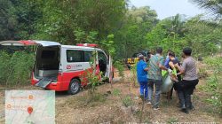 Diduga Mengantuk, Pikap Terjun ke Jurang 15 Meter di Selopuro Blitar, Sopir Meninggal