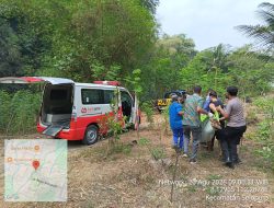 Diduga Mengantuk, Pikap Terjun ke Jurang 15 Meter di Selopuro Blitar, Sopir Meninggal