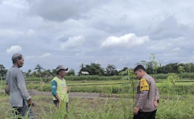 Polres Blitar Dampingi Petani Jagung, Perkuat Dukungan terhadap Ketahanan Pangan