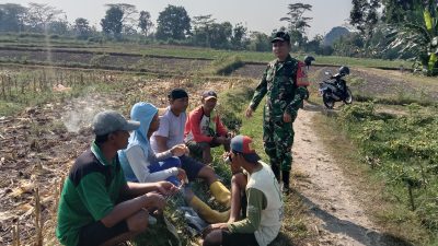 Serda Fiyan ketika bersama kelompok tani Sumber Makmur. (ist)