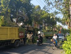 BPBD Lamongan Ingatkan Warga di 21 Kecamatan Waspada Angin Kencang