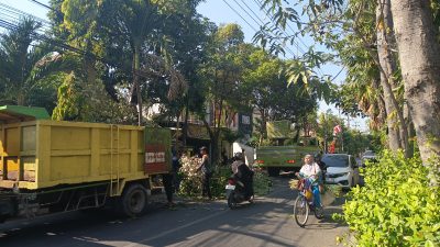 BPBD Lamongan Ingatkan Warga di 21 Kecamatan Waspada Angin Kencang