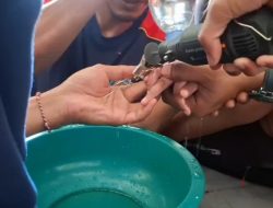 Jari Manis Bocah 6 Tahun di Lamongan Terjepit Grendel Jendela, Dievakuasi Damkar