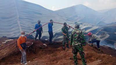 Kebakaran Pabrik Kayu Kembangbahu Lamongan, Dua Hektare Area Terdampak, Titik Api Masih Bermunculan
