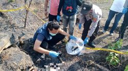Kerangka Manusia Ditemukan di Hutan Kedungpring Lamongan, Identitas Masih Misterius