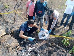 Kerangka Manusia Ditemukan di Hutan Kedungpring Lamongan, Identitas Masih Misterius