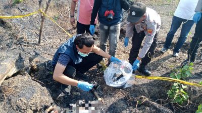 Kerangka Manusia Ditemukan di Hutan Kedungpring Lamongan, Identitas Masih Misterius
