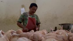 Harga Ayam di Pasar Pon Jombang Tembus Rp38 Ribu, Pedagang Keluhkan Penjualan Menurun