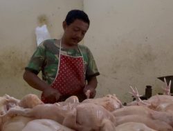 Harga Ayam di Pasar Pon Jombang Tembus Rp38 Ribu, Pedagang Keluhkan Penjualan Menurun