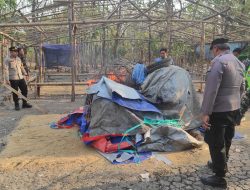 Polisi Gerebek Arena Sabung Ayam di Tengah Hutan Banjardowo, Langsung Dibumihanguskan