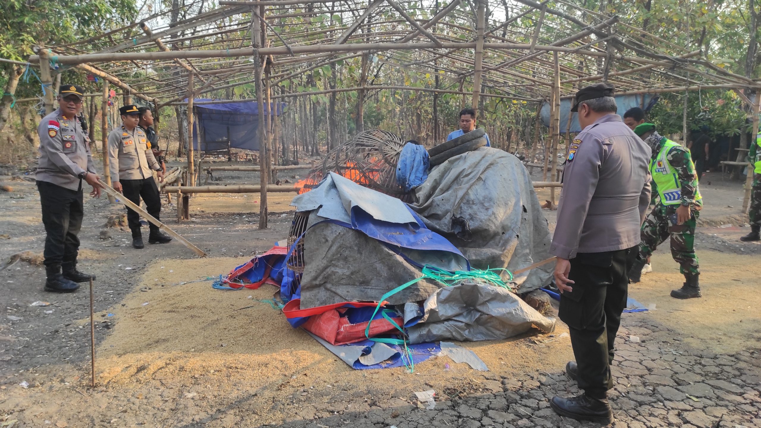 Polisi Gerebek Arena Sabung Ayam di Tengah Hutan Banjardowo, Langsung Dibumihanguskan