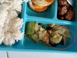 Ada Ulat di Sayur Pakcoy Menu MBG Jombang, Penerima Manfaat Klaim Tiga Kali Dapat Menu Bermasalah