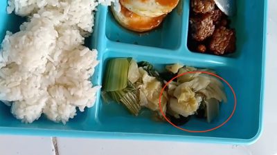 Ada Ulat di Sayur Pakcoy Menu MBG Jombang, Penerima Manfaat Klaim Tiga Kali Dapat Menu Bermasalah