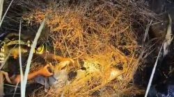 Sempat Hilang Sepekan, Nenek 96 Tahun Ditemukan Lemas di Tengah Hutan Ngusikan