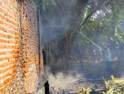 Kebakaran Hanguskan Dapur dan Kandang Sapi di Mojoagung Jombang, Kerugian Rp25 Juta