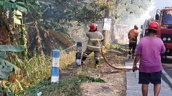 30 Hektare Lahan Tebu di Sumobito Jombang Terbakar, Petugas Berjibaku Hampir 5 Jam
