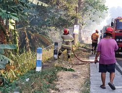 30 Hektare Lahan Tebu di Sumobito Jombang Terbakar, Petugas Berjibaku Hampir 5 Jam