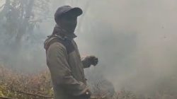 Kebakaran Hutan Terjadi di Gunung Butak, BPBD Kota Batu Terus Pantau Kondisi