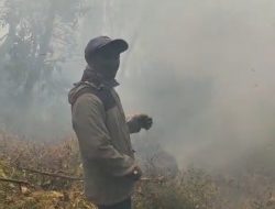 Kebakaran Hutan Terjadi di Gunung Butak, BPBD Kota Batu Terus Pantau Kondisi