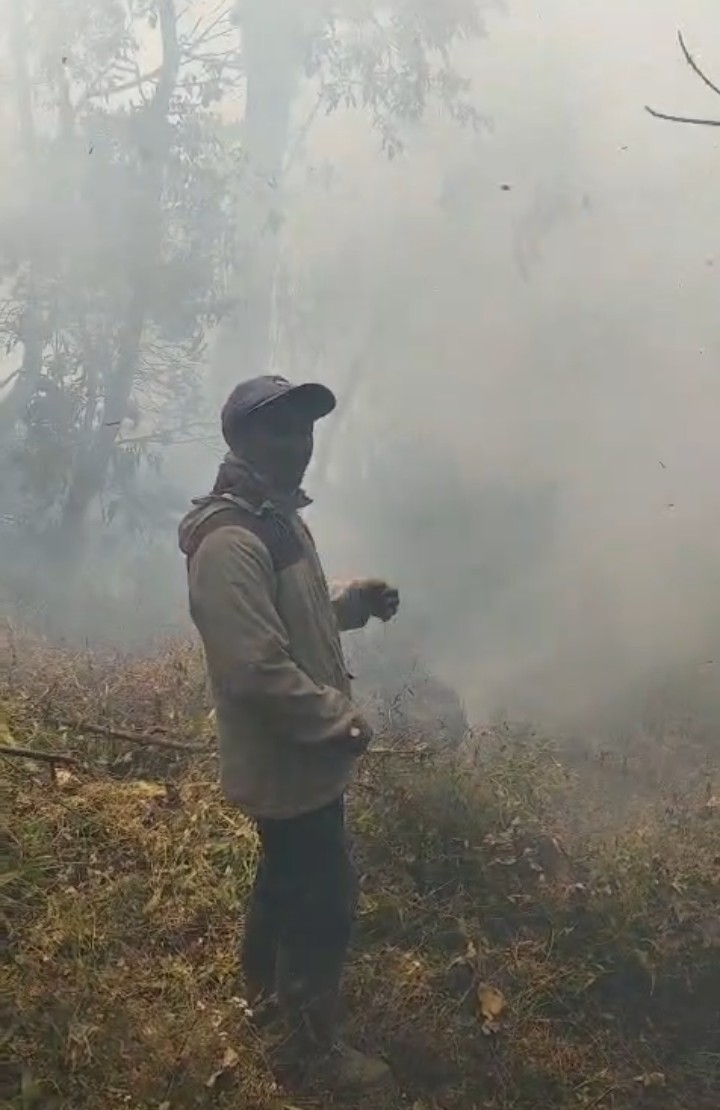 Kebakaran Hutan Terjadi di Gunung Butak, BPBD Kota Batu Terus Pantau Kondisi