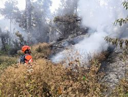Kebakaran Gunung Butak Hanguskan 15 Hektare Hutan, Api Berhasil Dipadamkan
