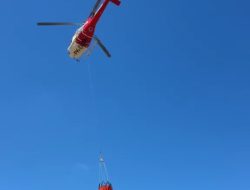 Sebanyak 15 Hektare Lahan Terbakar, Titik Api Kembali Muncul di Gunung Buthak, Tim Gabungan Susun Langkah Lanjutan