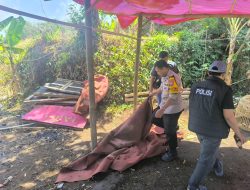 Polisi Bongkar Arena Diduga Sabung Ayam di Karangploso Malang