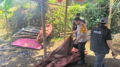Polisi Bongkar Arena Diduga Sabung Ayam di Karangploso Malang