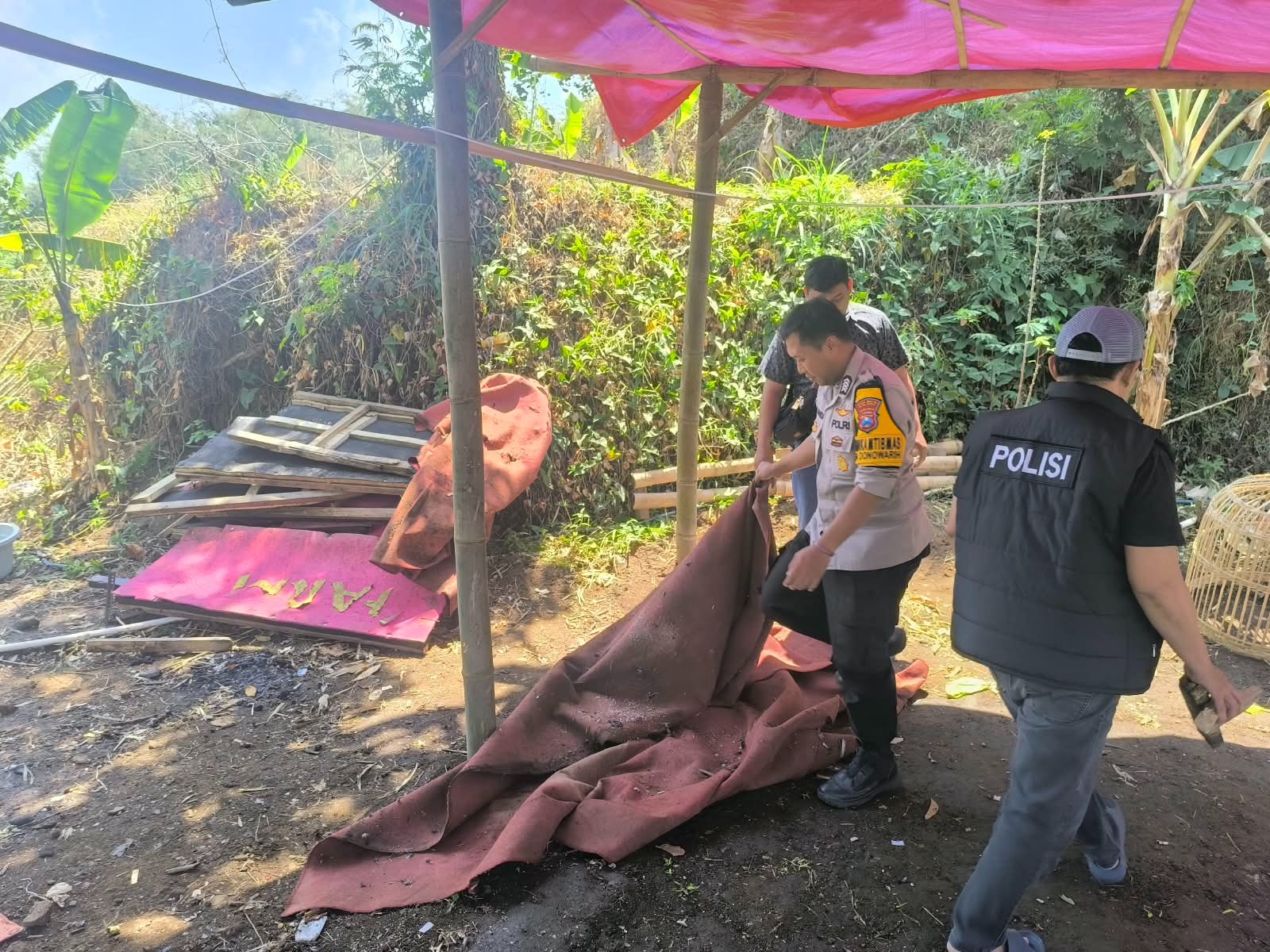 Polisi Bongkar Arena Diduga Sabung Ayam di Karangploso Malang