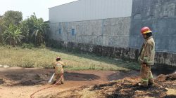 Diduga Dipicu Puntung Rokok, Tumpukan Sekam Padi di Grogol Terbakar