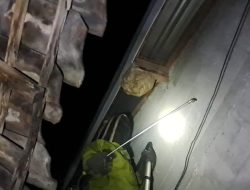 Satu Malam, Damkar Kediri Evakuasi Dua Sarang Tawon Berbahaya