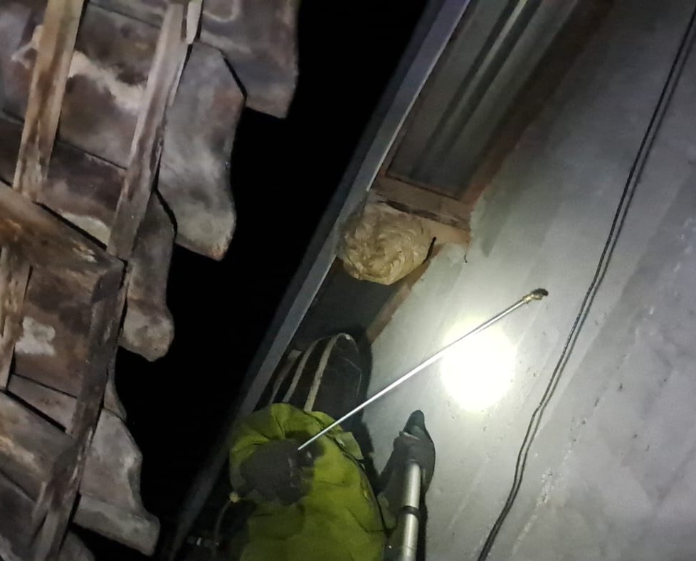 Satu Malam, Damkar Kediri Evakuasi Dua Sarang Tawon Berbahaya