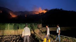 Sebanyak 54 Karhutla Terjadi di Ponorogo, 189 Hektare Lahan Terbakar