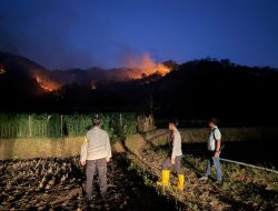 Sebanyak 54 Karhutla Terjadi di Ponorogo, 189 Hektare Lahan Terbakar