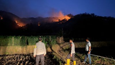 Sebanyak 54 Karhutla Terjadi di Ponorogo, 189 Hektare Lahan Terbakar